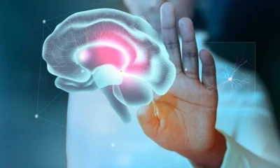 Silêncio Neuronal: A Nova Fronteira na Prevenção de Crises Epilépticas