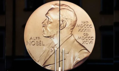Inteligência Artificial aposta em descobertas sobre hormônios e edição de DNA para o Nobel de 2026