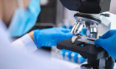 Um em cada oito casos de câncer no mundo está ligado a infecções, revela estudo da OMS