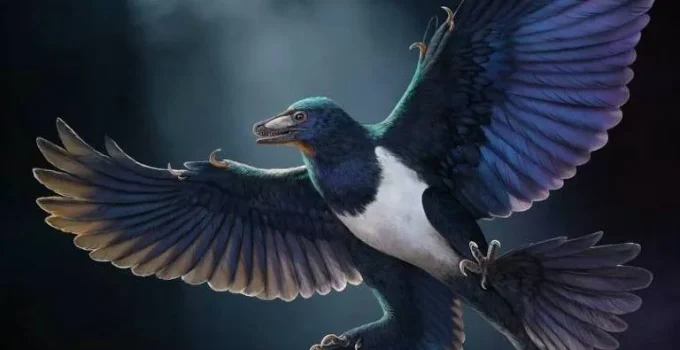 Fóssil chinês lança nova luz sobre a evolução do voo em dinossauros