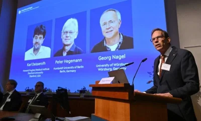 Nobel de Medicina de 2026 premia trio por revolucionar o estudo do cérebro com a optogenética