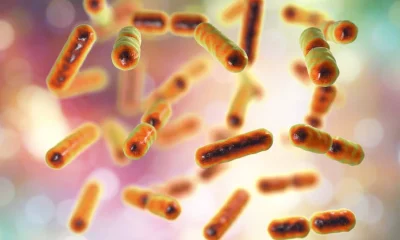 Gastroenterologistas alertam: 5 sinais no seu corpo que não devem ser ignorados