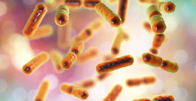 Gastroenterologistas alertam: 5 sinais no seu corpo que não devem ser ignorados