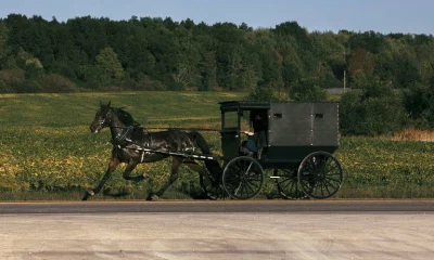 Surto de Sarampo nos EUA Expõe Complexidades da Vacinação em Comunidades Amish