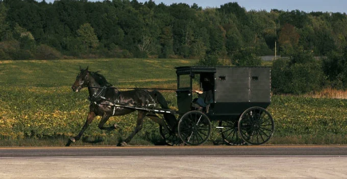 Surto de Sarampo nos EUA Expõe Complexidades da Vacinação em Comunidades Amish
