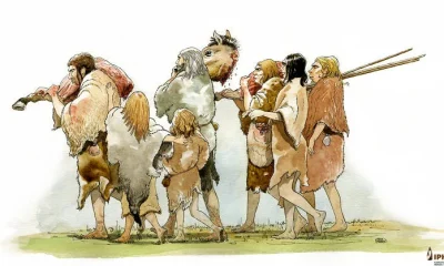 Neandertais: A Idade da Madeira Revela Habilidade Desconhecida