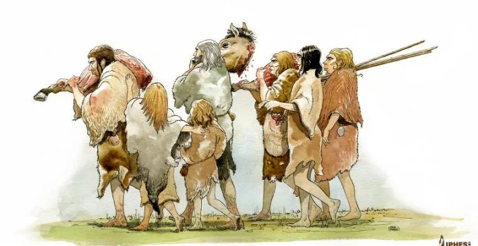 Neandertais: A Idade da Madeira Revela Habilidade Desconhecida