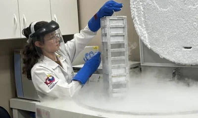 Câncer de Estômago: Diagnóstico Tardio e Resistência à H. pylori Elevam Mortes no Brasil
