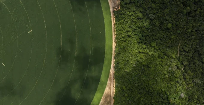 Ciência: o Motor Silencioso do Agronegócio Brasileiro
