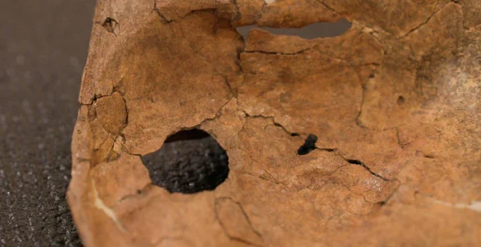 Golpe de lança pode ter sido causa da morte de Neandertal há 75 mil anos no Iraque