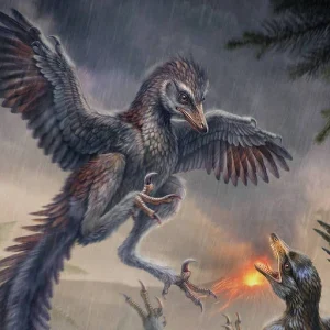 Fóssil de ave primitiva na China sugere que voo pode não ter sido essencial na origem das aves