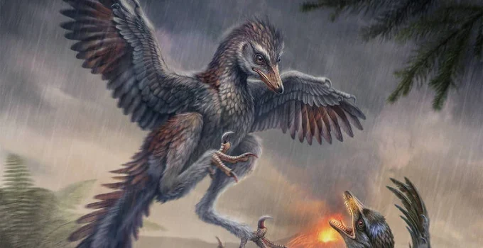 Fóssil de ave primitiva na China sugere que voo pode não ter sido essencial na origem das aves
