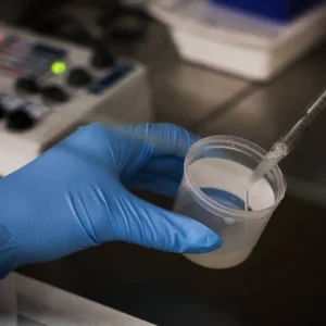 Técnicas adicionais na fertilização in vitro não garantem gravidez, aponta estudo