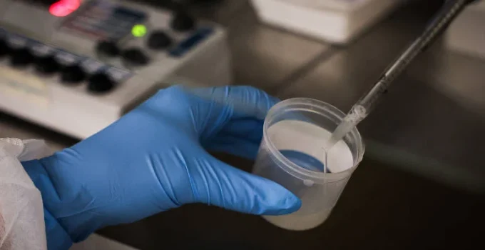 Técnicas adicionais na fertilização in vitro não garantem gravidez, aponta estudo