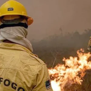 Fumaça densa paralisa combate aéreo a incêndios no Amazonas