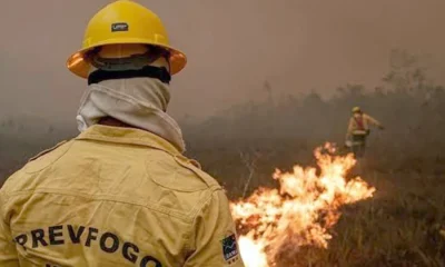 Fumaça densa paralisa combate aéreo a incêndios no Amazonas