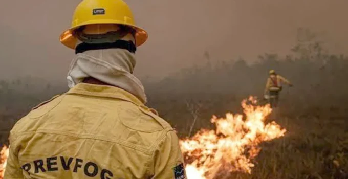 Fumaça densa paralisa combate aéreo a incêndios no Amazonas Fumaça densa paralisa combate aéreo a incêndios no Amazonas